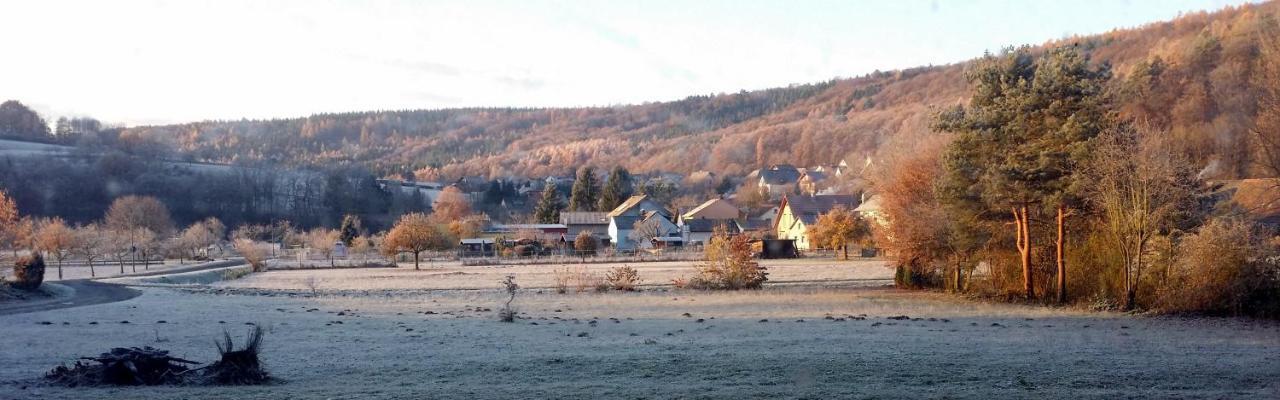Landgasthof Zum Hirschen Hafenlohr Buitenkant foto